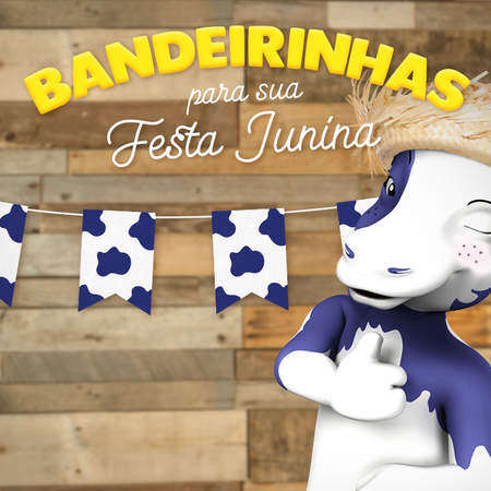 BANDEIRINHA DE FESTA JUNINA MOCOCA